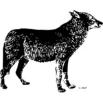 Ilustración de vector de lobo solitario
